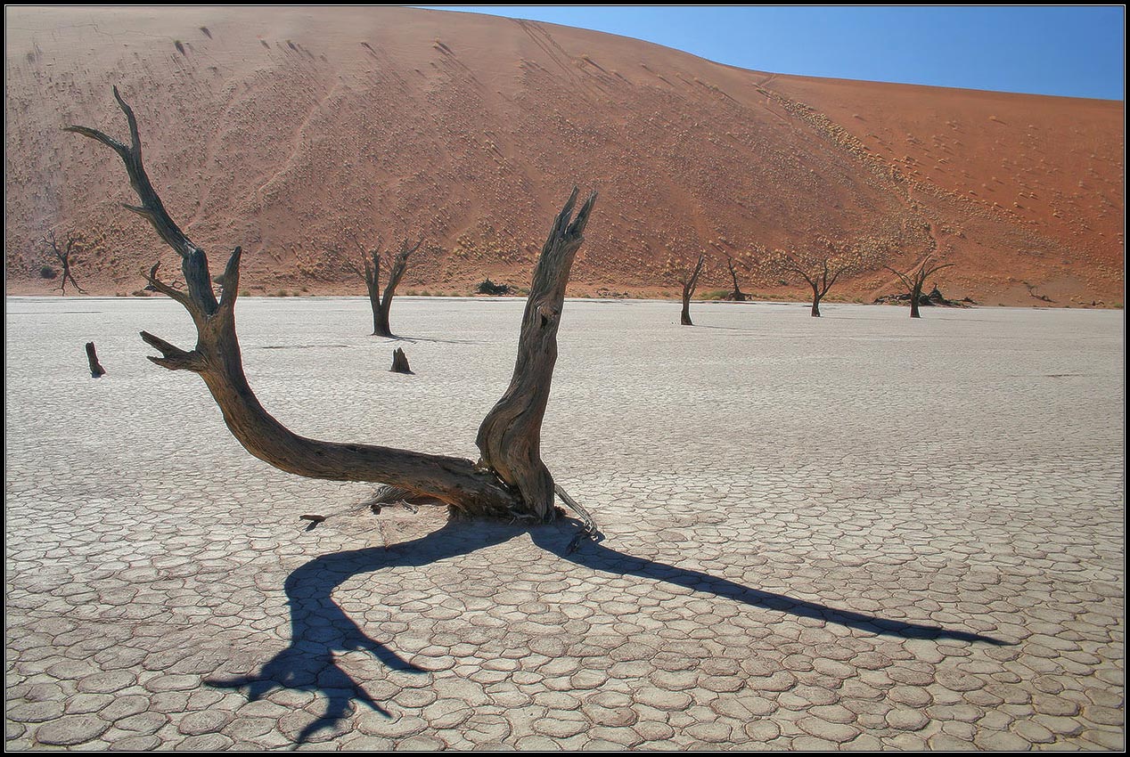 Deadvlei Dance