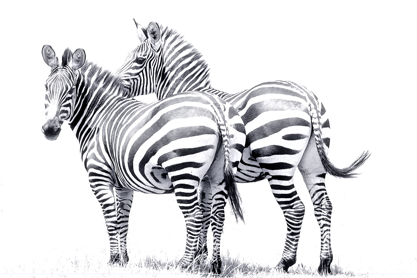 0_adbec_5a277294_orig