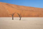 Deadvlei