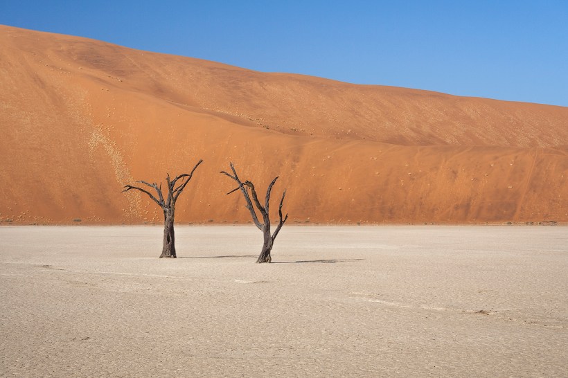 Deadvlei