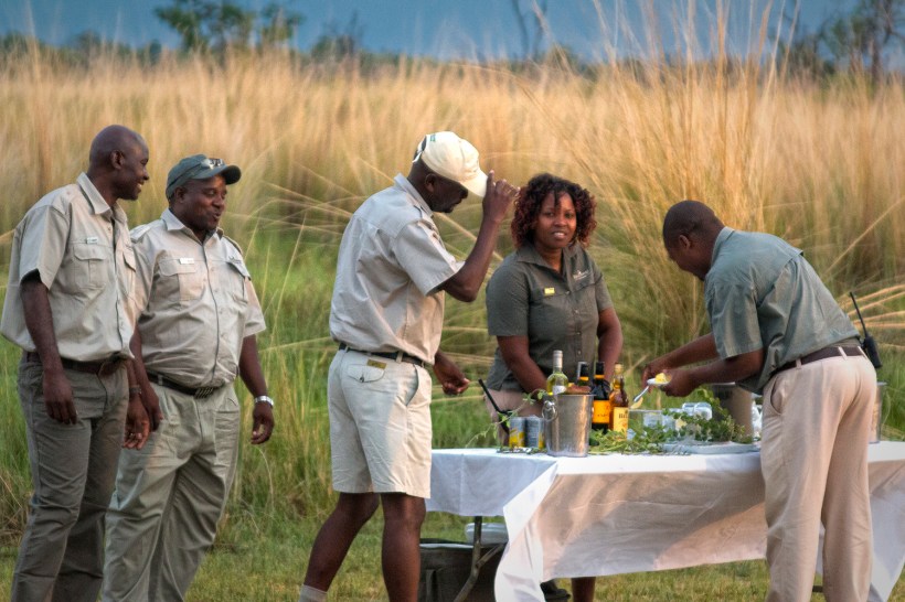 Перерыв между сафари