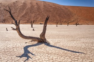 Долина Deadvlei, Намибия
