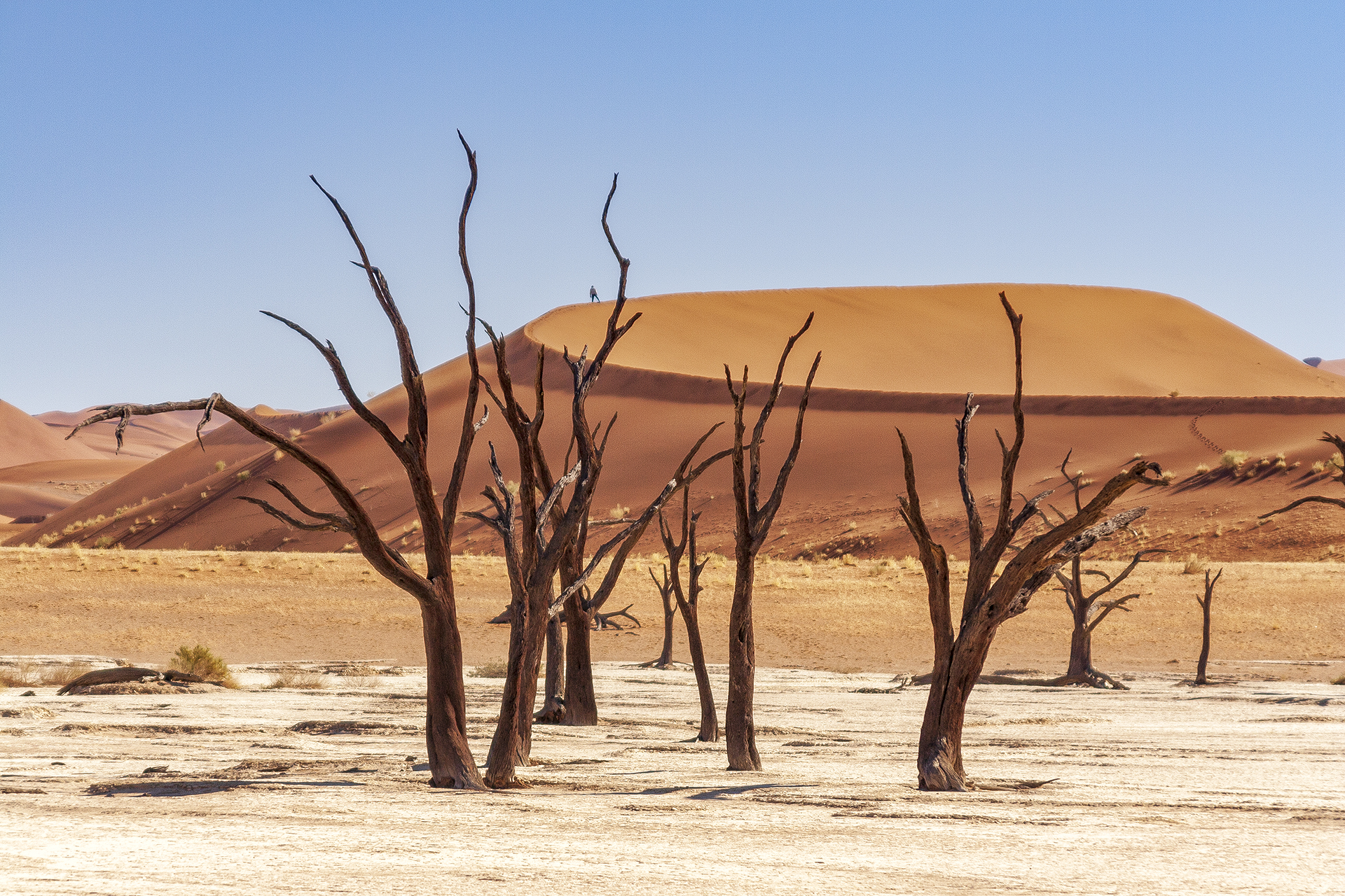 Dead Vlei, Соссусфлей, пустыня Намиб, Намибия