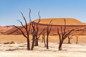 Dead Vlei, Соссусфлей, пустыня Намиб, Намибия