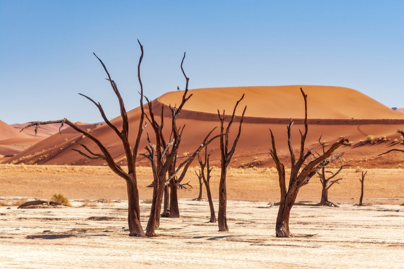 Dead Vlei, Соссусфлей, пустыея Намиб, Намибия