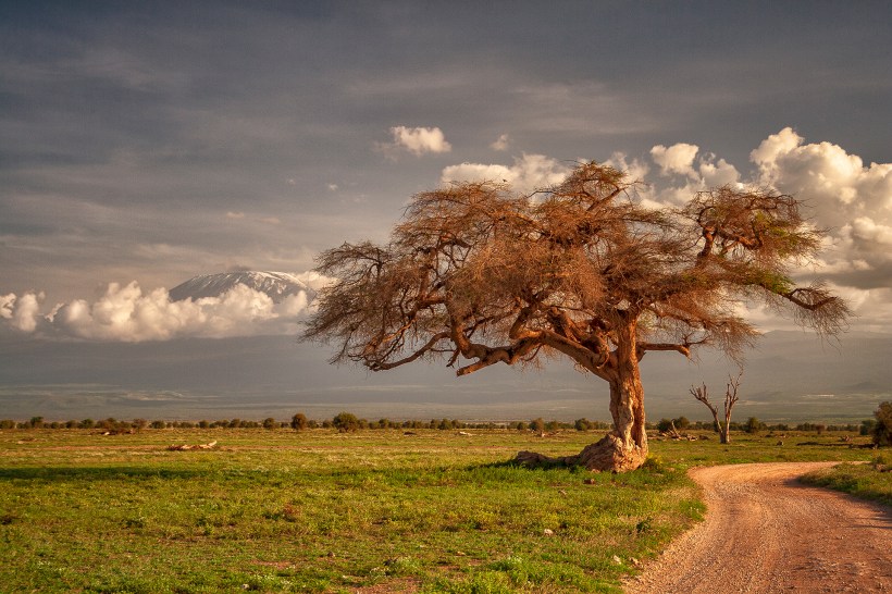 Национальеый парк Амбосели, Кения
