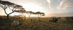 Serengeti Under Canvas. Bush bar