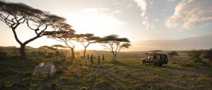 Serengeti Under Canvas. Bush bar