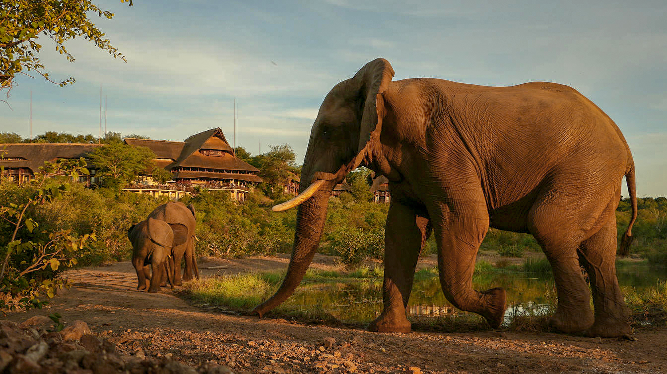 Укрытие Siduli на водопаде Виктория