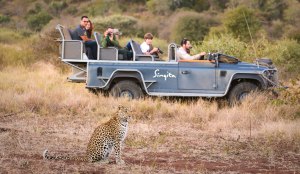 Сафари в частном заповеднике Сингита