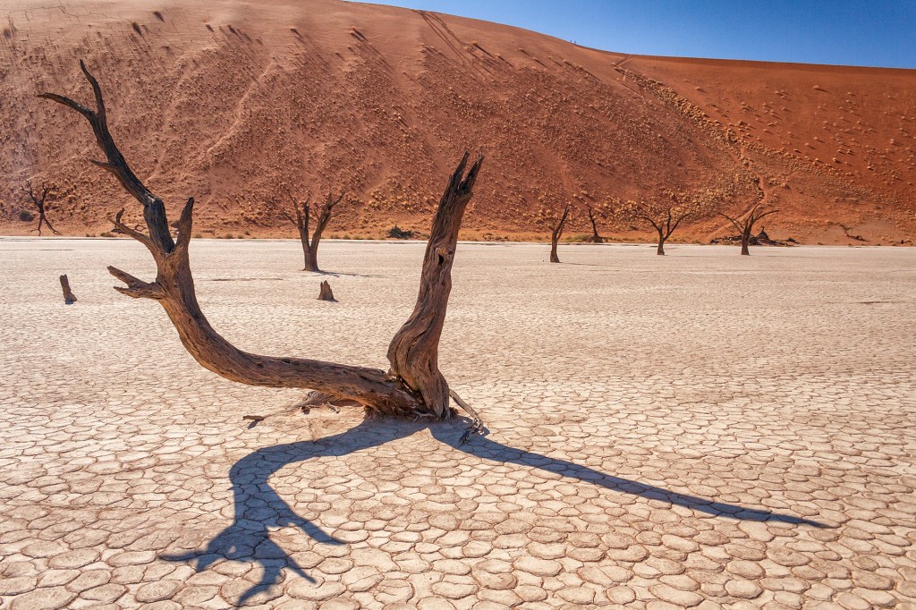 Пустыня Намиб, долина мёртвых деревьев Dead Vlei
