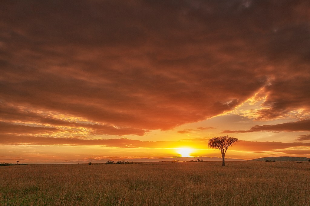 Рассвет в Масаи Мара