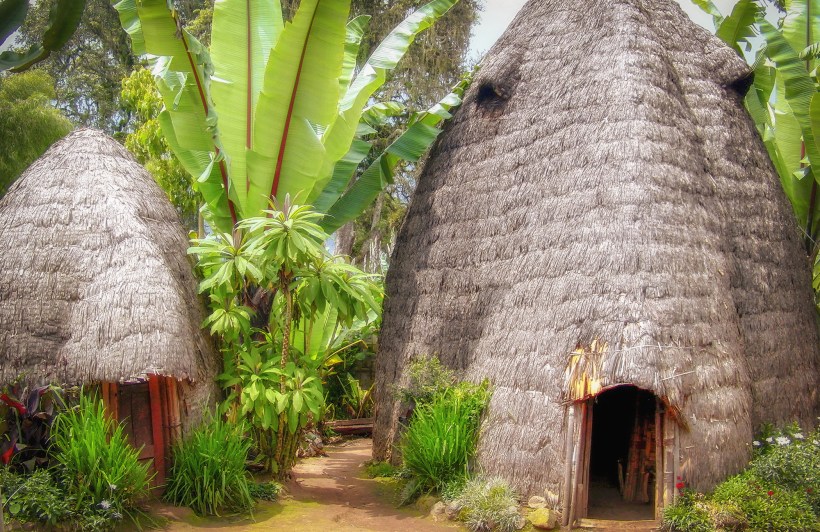 Хижины народности дорзе