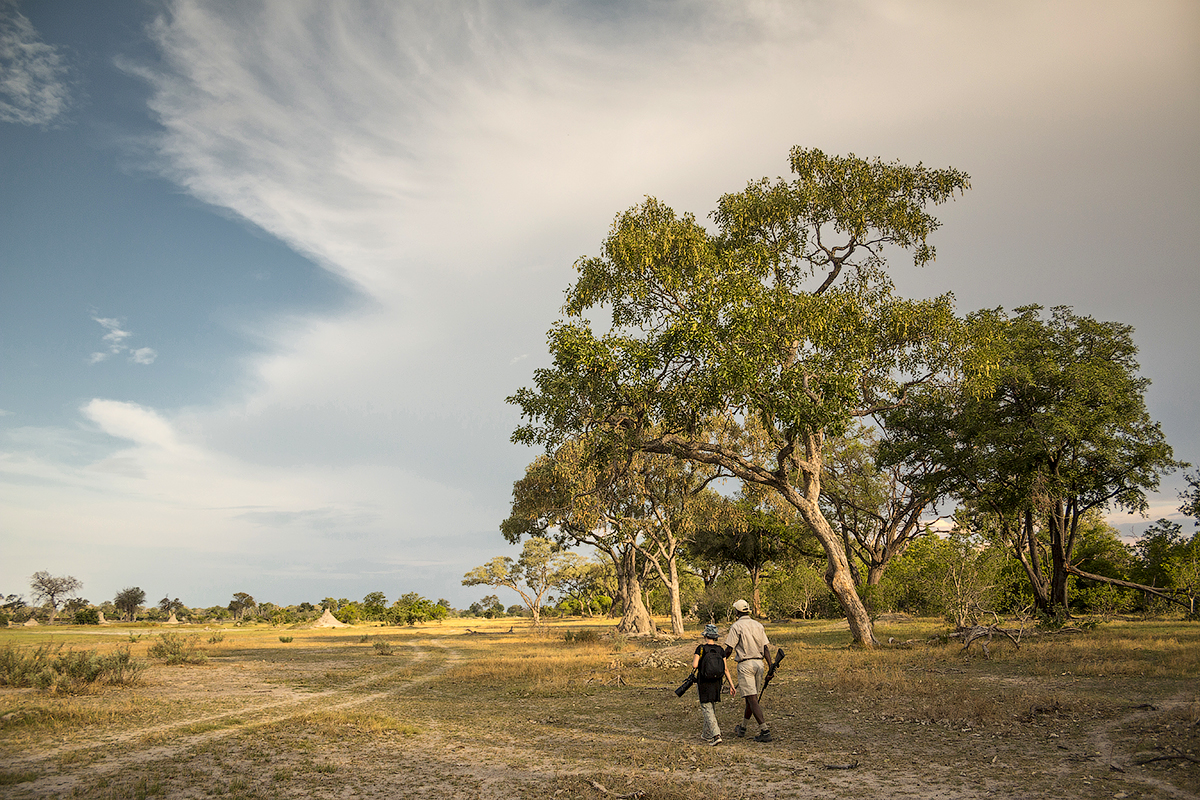 Пешее сафари