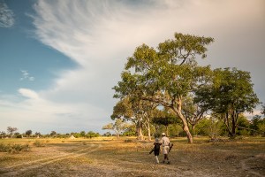 Пешее сафари