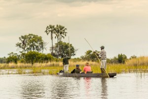 Сафари на традиционной африканской лодке mokoro