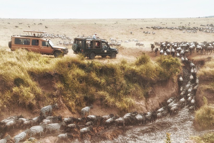 Кроссинг в Масаи Мара