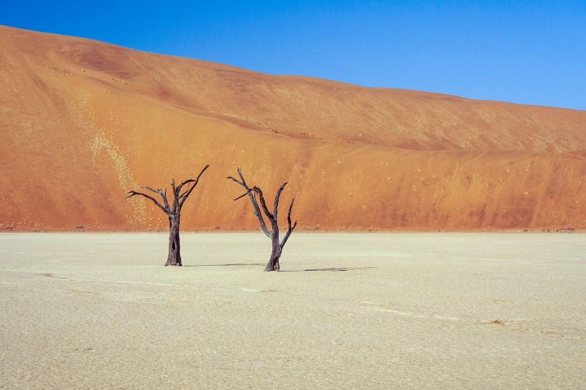 Пустыня Намиб, Dead Vlei