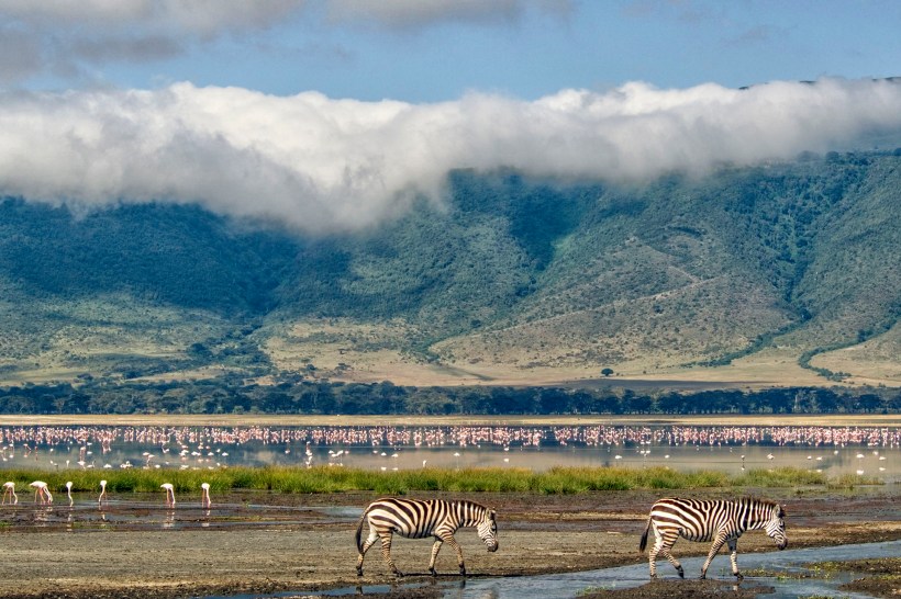 Кратер Нгоронгоро