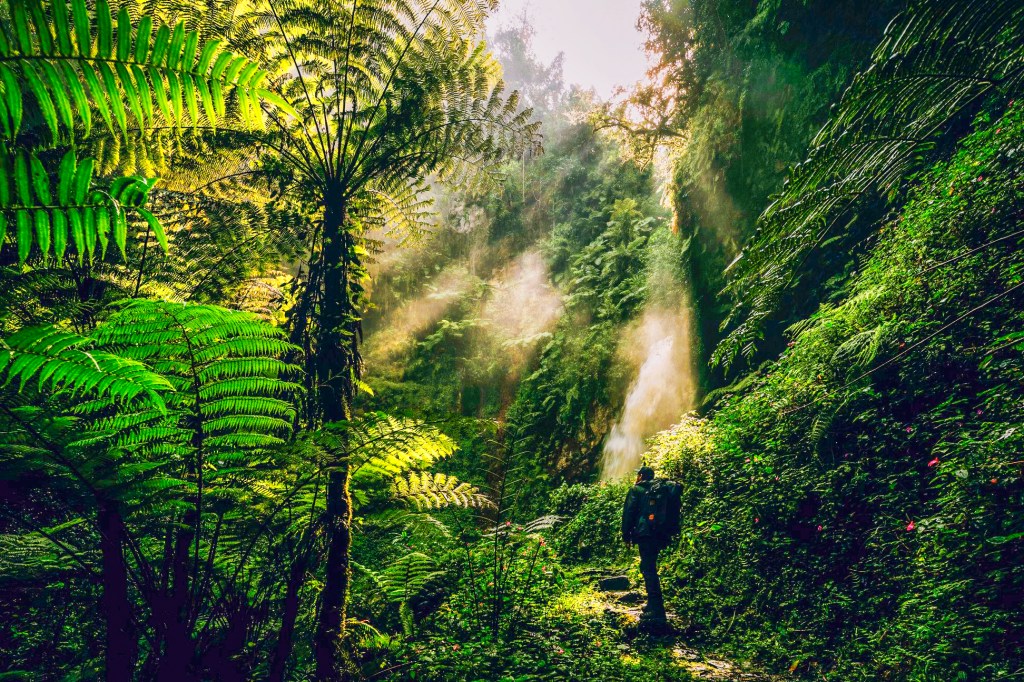 Водопад Kamiranzovu waterfall в национальном парке Ньюнгве, Руанда
