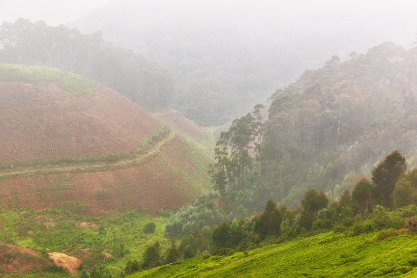 Туманные холмы Руанды