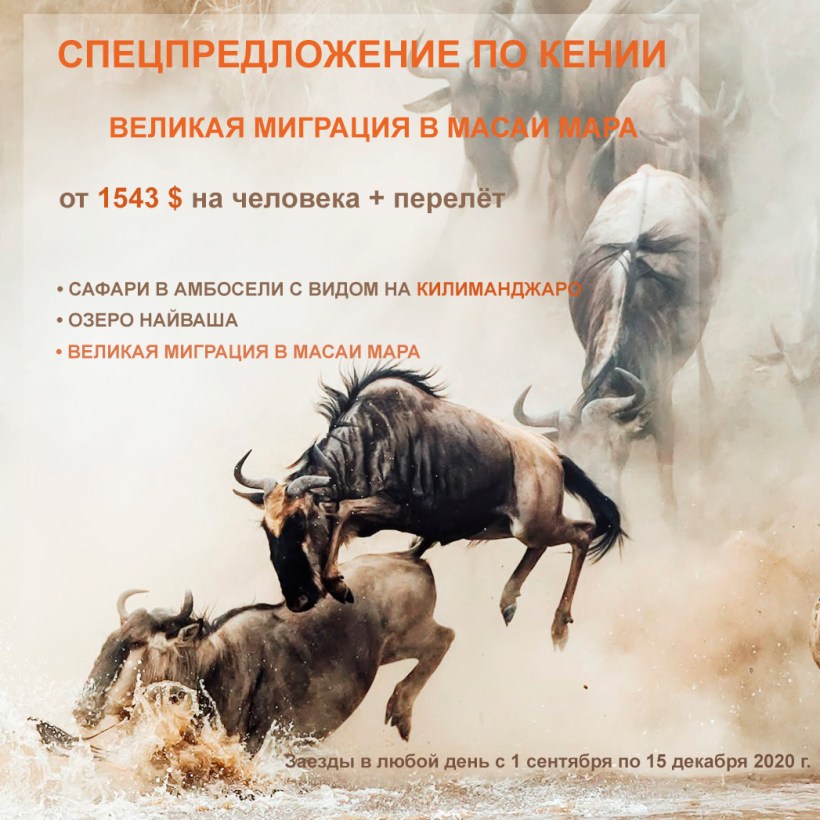 Спецпредложение по Кении на Великую Миграцию