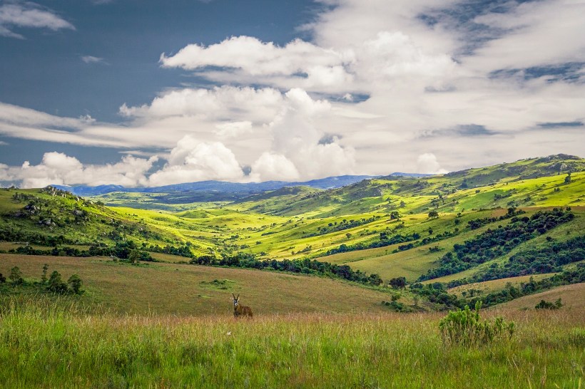 Национальный парк Нйика, Малави