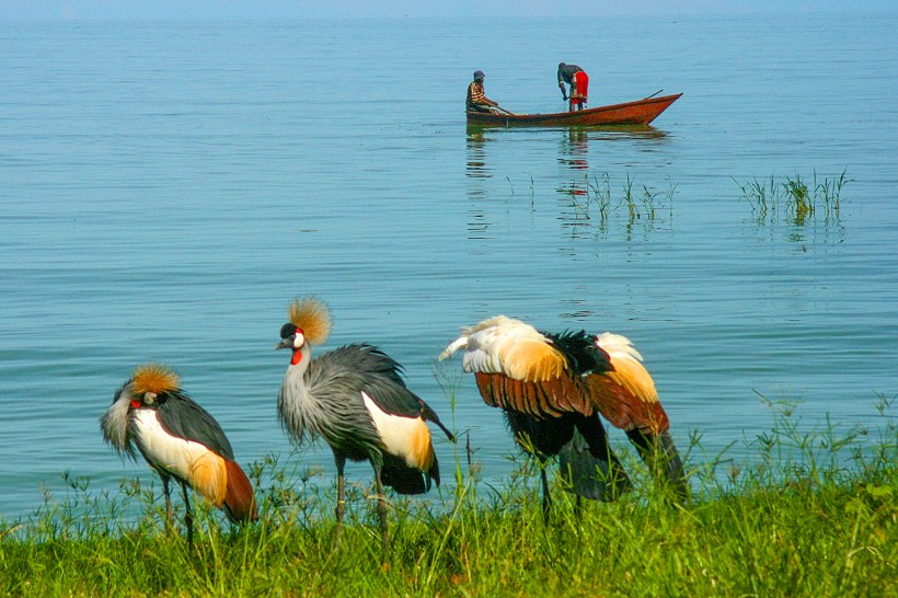 Озеро Виктория