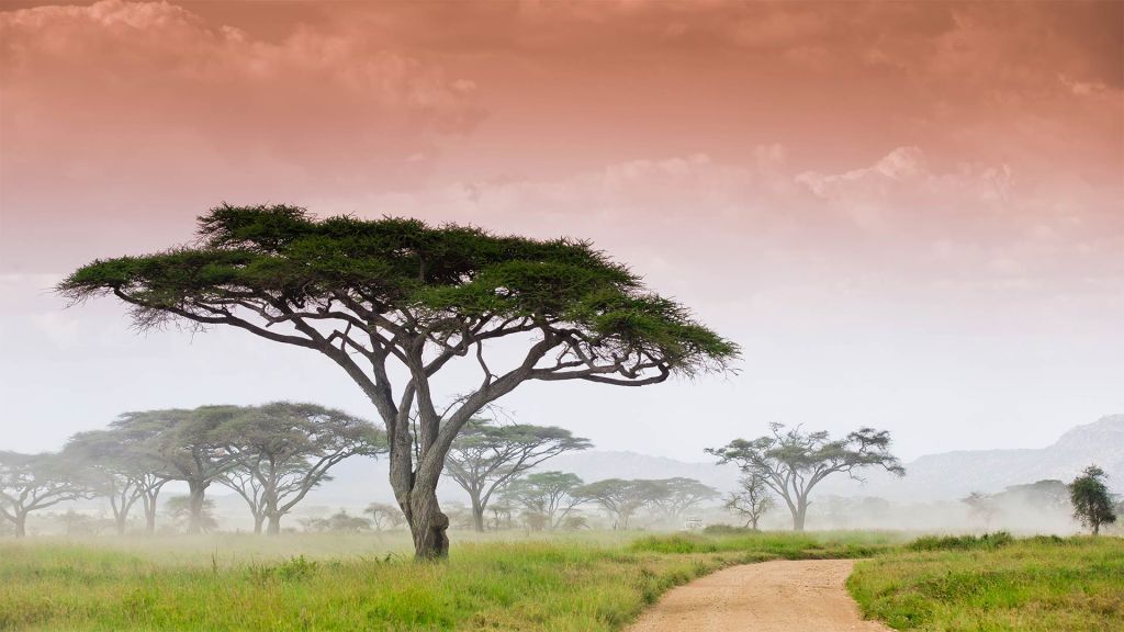 Национальный парк Серенгети