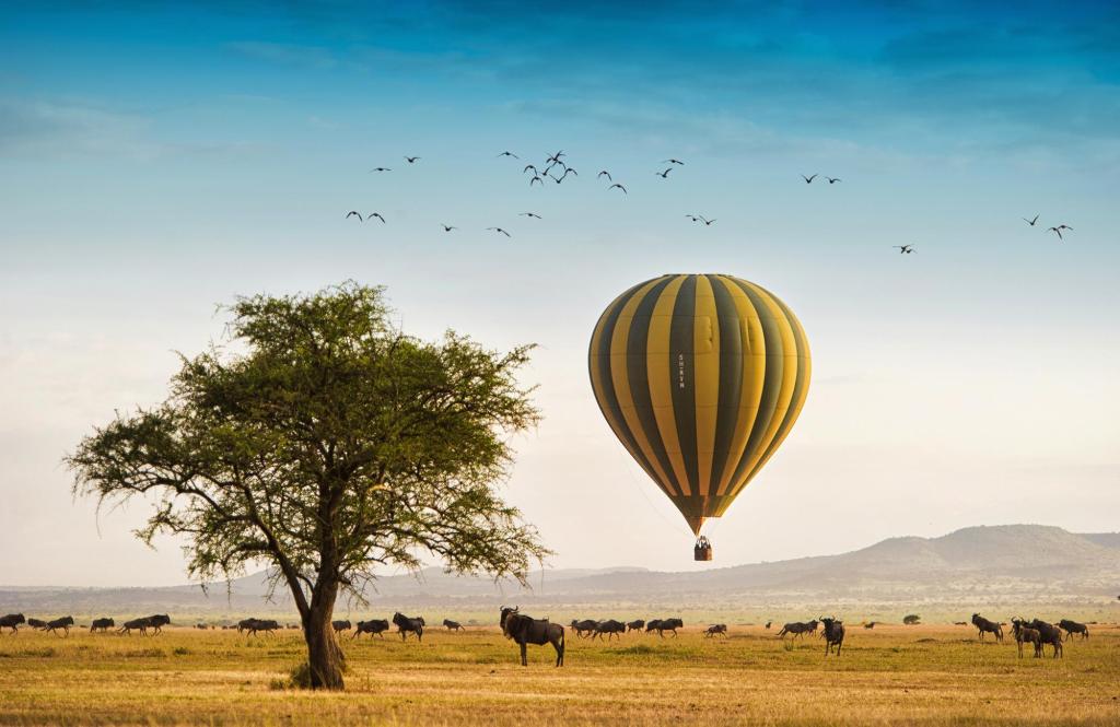 Сафари на воздушном шаре