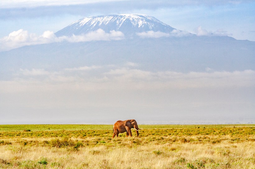 Утро в Амбосели