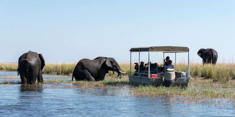 Сафари-круиз по реке Чобе
