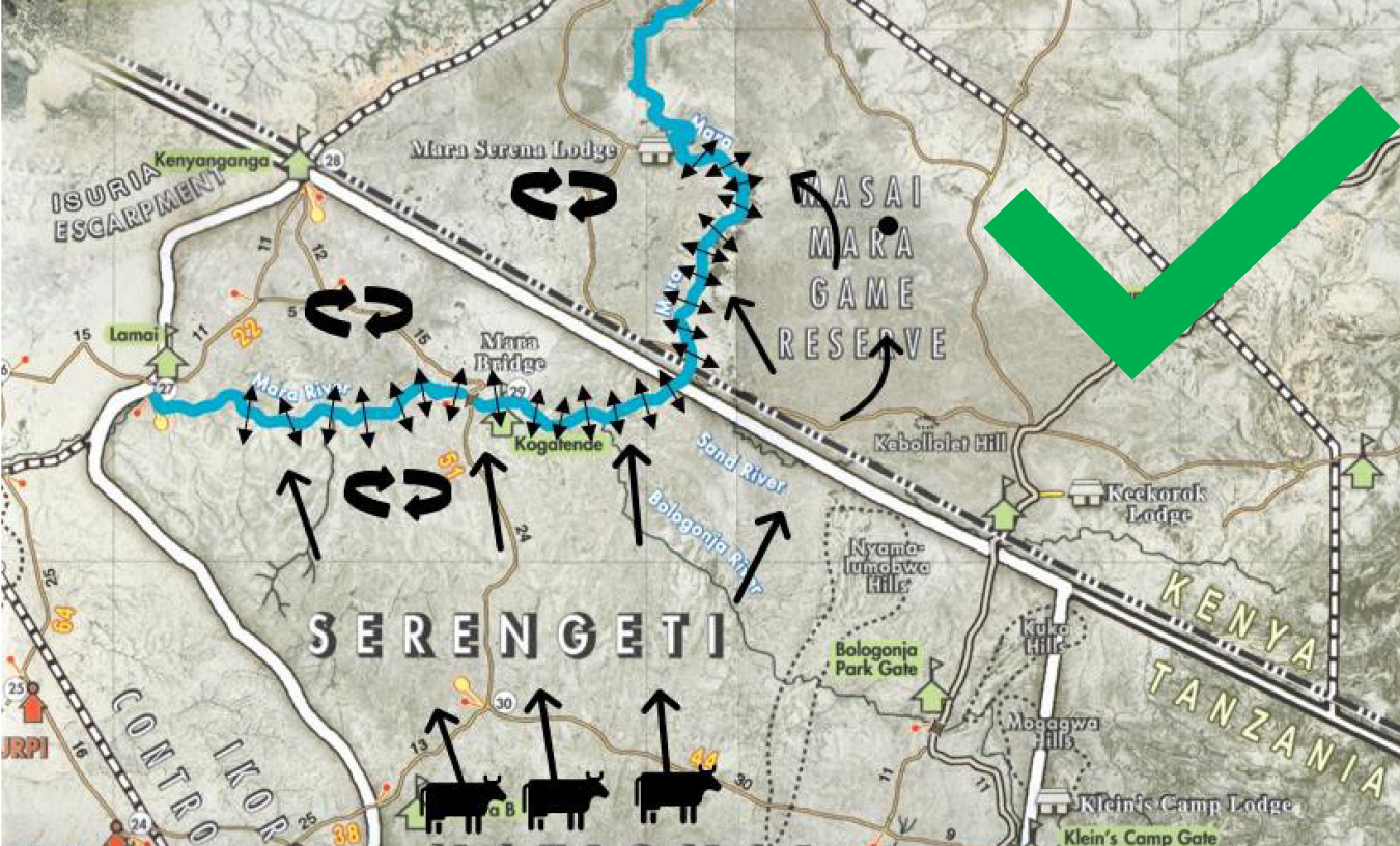 Реальное движение животных во время Великой Миграции